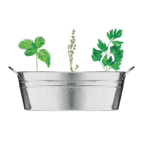 Zink plantekasse med krydderurter - Billede 2